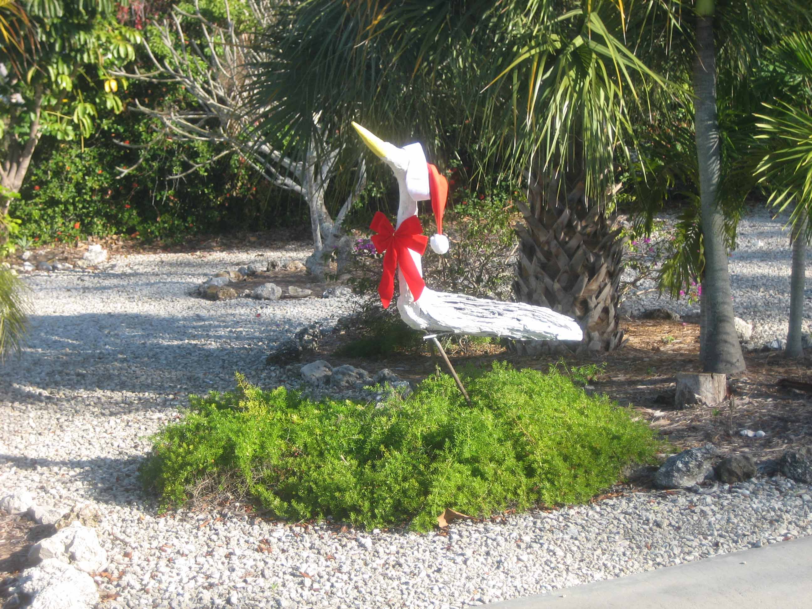It’s Tropical December Weather on Sanibel Isle Sanibel Scoop